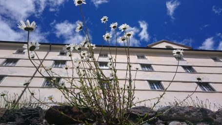 Kloster Disentis